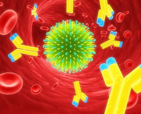 Nuestro Sistema Inmunologico